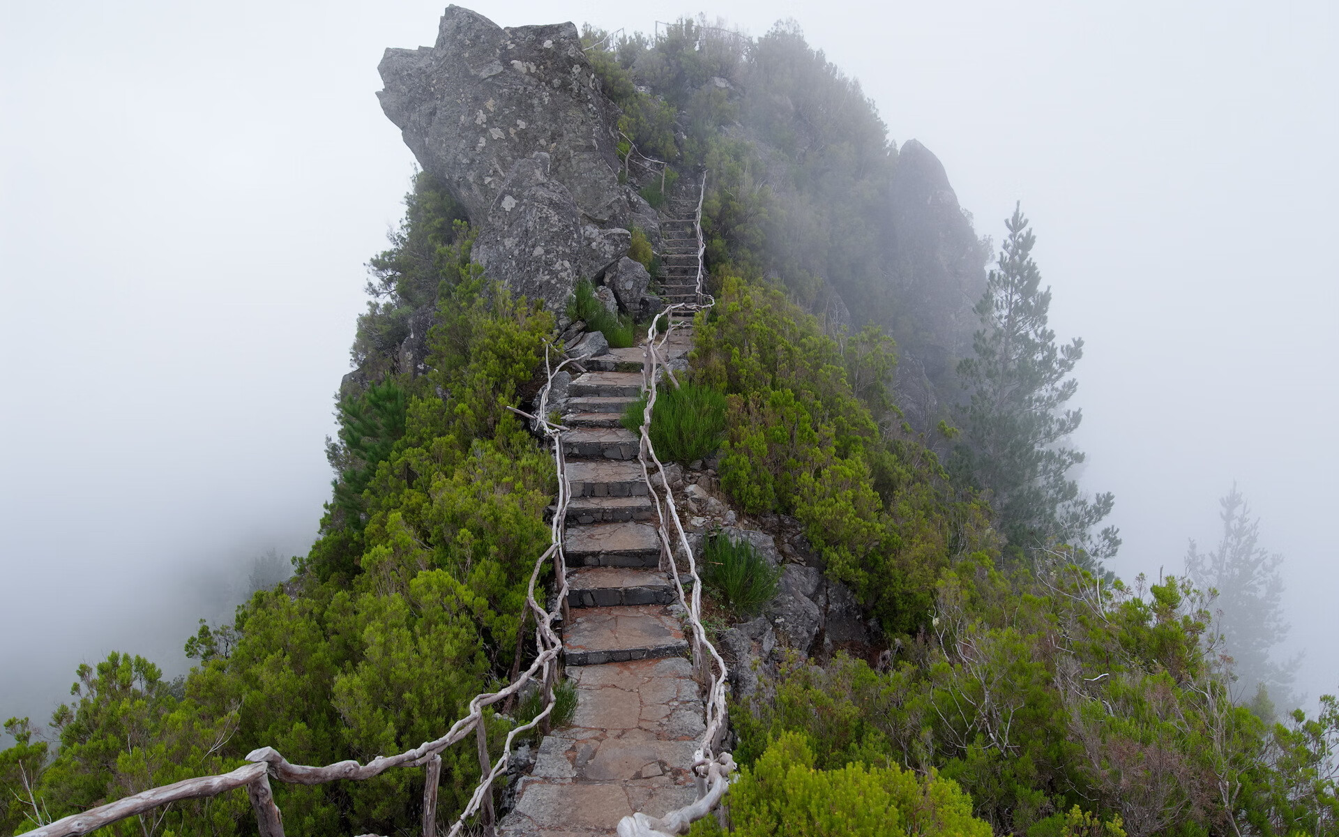 开云官方-上海申花客场不敌江苏苏宁，遭遇连败，上海申花对战