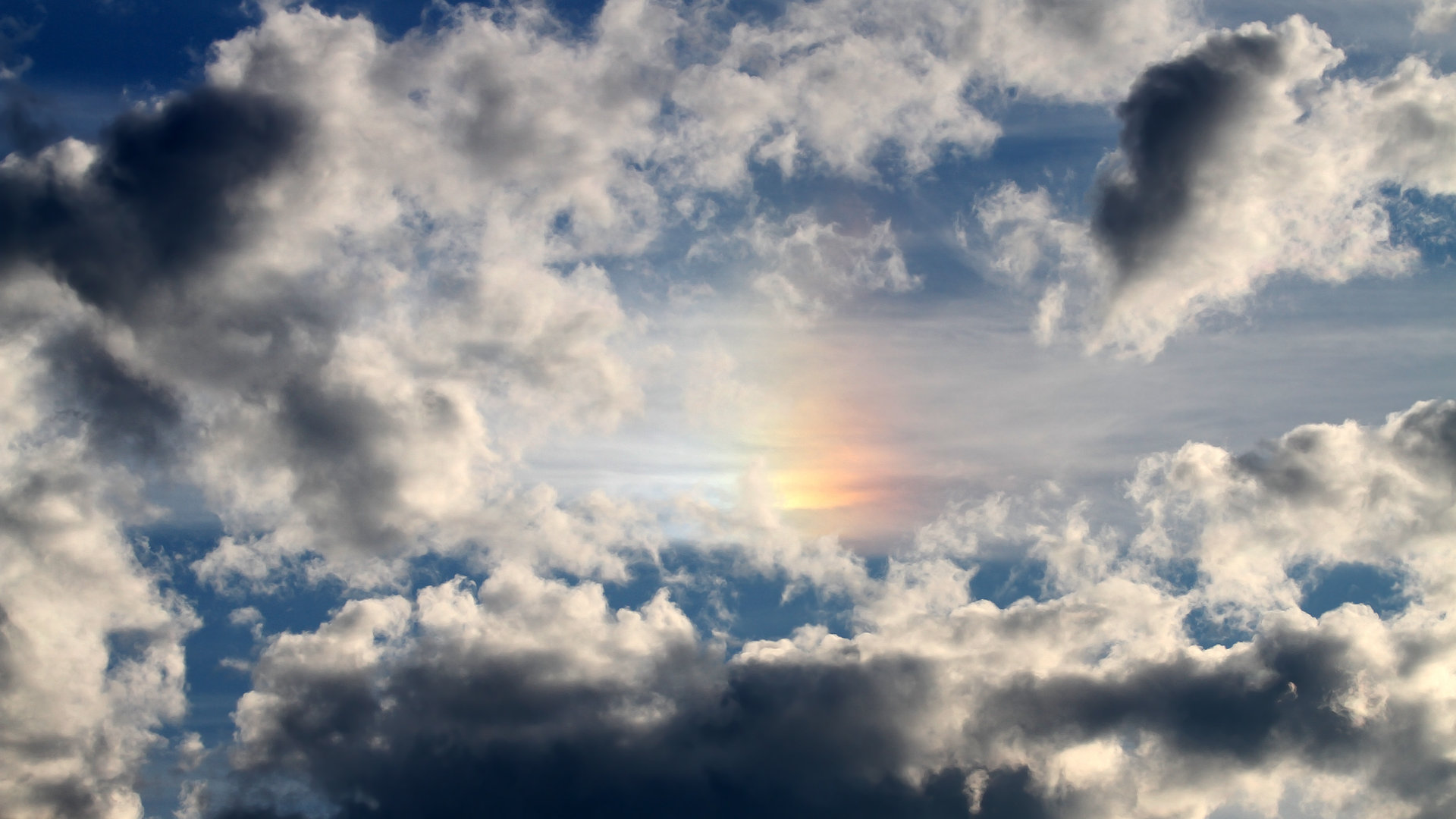 开云体育客户端-新西兰全黑队的战术打法使其在比赛中屡屡获得主动，新西兰全黑战舞视频