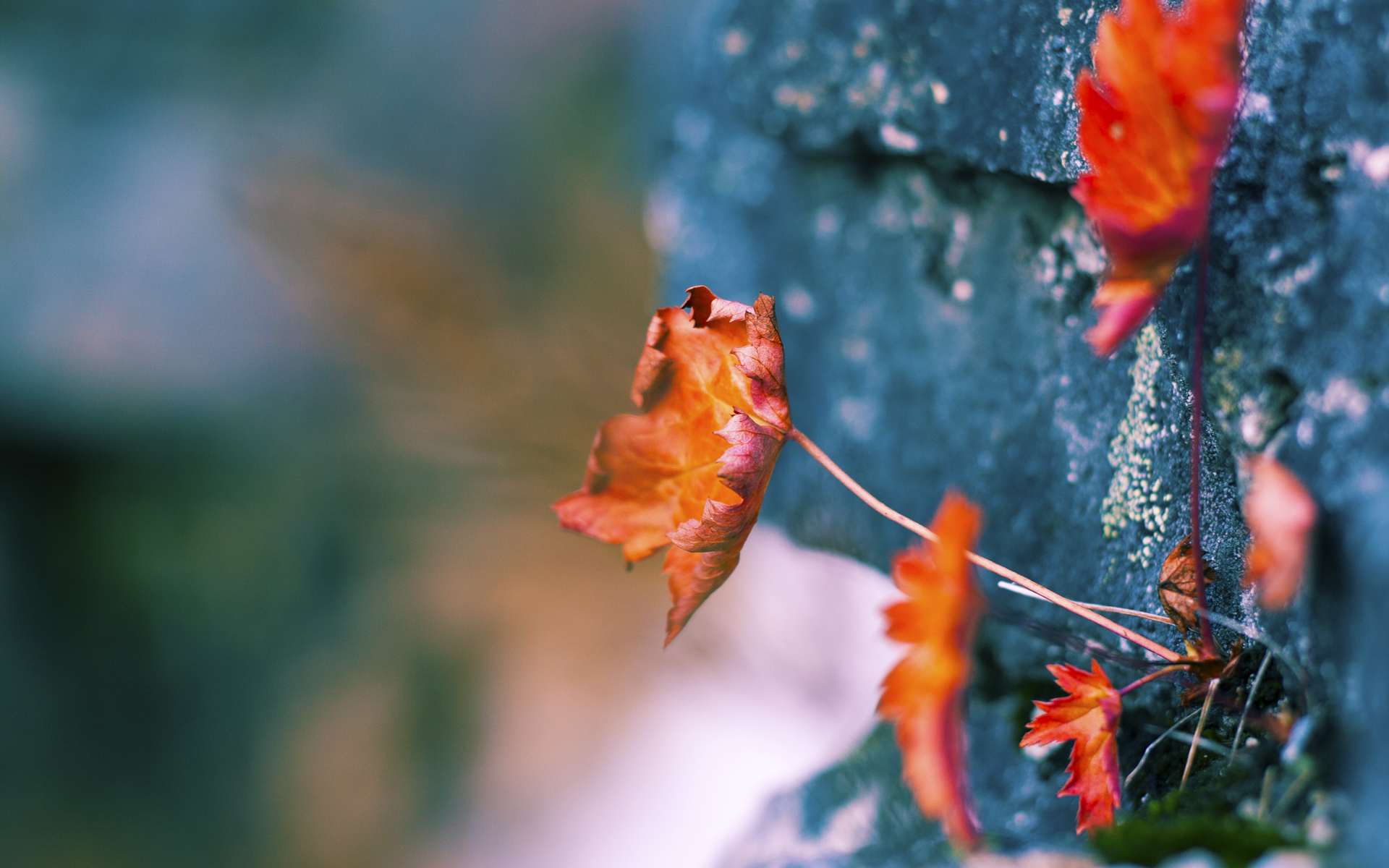 -欧洲杯激动人心：逆转战局的精彩瞬间，2021欧洲杯逆转