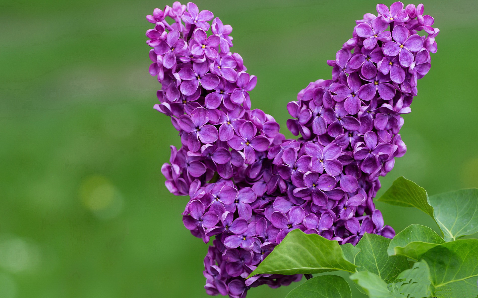开云体育客户端-欧洲杯精妙战术：变化多端引爆现场！，欧洲杯战状