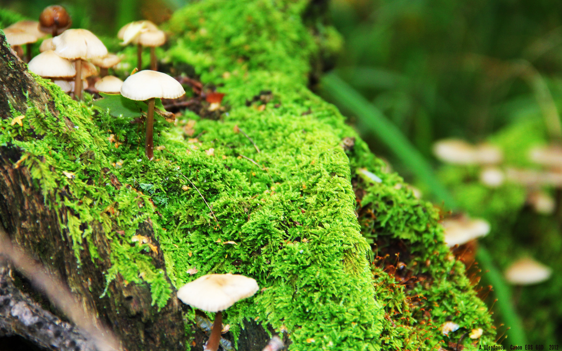 开云体育保障-里根·史密斯刷新个人最佳成绩，梅根史密斯